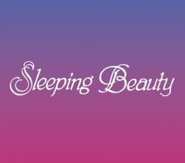 Sleeping Beauty-prince Street Players Version show poster