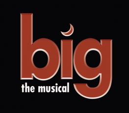 Big The Musical-tya show poster