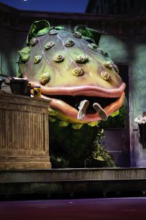 LSH - Ocala Civic Theatre