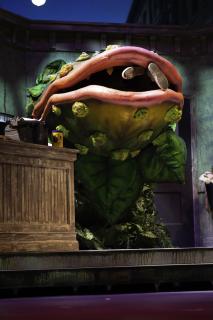 LSH - Ocala Civic Theatre