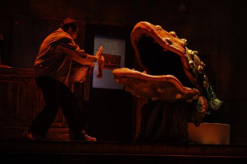 LSH - Ocala Civic Theatre