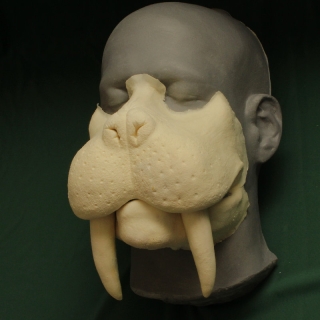 A foam latex walrus muzzle prosthetic placed on a platic human face cast.