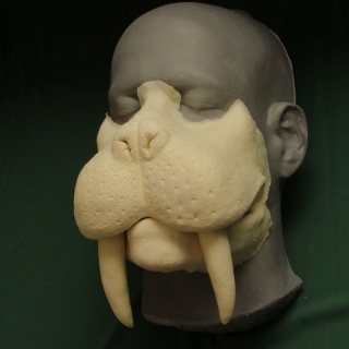 Walrus Muzzle foam latex prosthetic A foam latex walrus muzzle prosthetic placed on a platic human face cast.