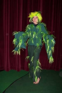Seussical - Costumes