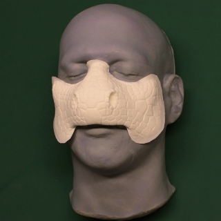 Lizard Nose hot foam latex prosthetic, useful for Bill A foam latex lizard nose prosthetic placed on a platic human face cast.
