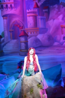 Mermaid Seashell Bra Ariel Under The Sea Top' Men's Zip Hoodie
