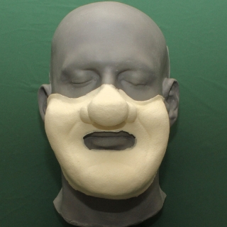 A shrek face prosthetic on a platic human face cast.