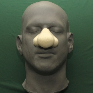 A large bulbous foam latex porsthetic nose on a human face cast