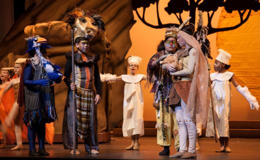 Lion King Jr. Costume Rental