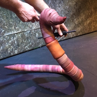 Earthworm Puppet