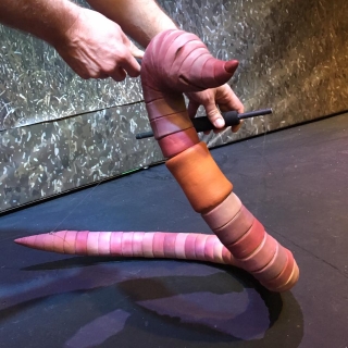 Earthworm Puppet Earthworm Puppet