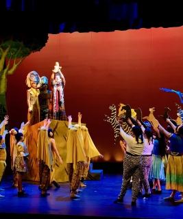 Finale Lion king jr rentals