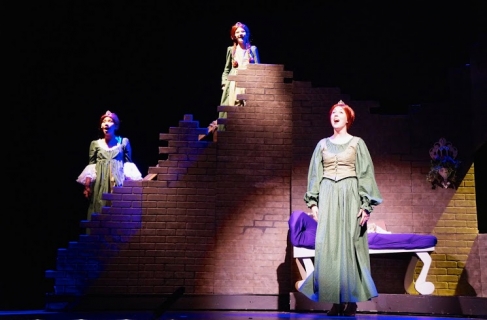 VACT's Shrek the Musical