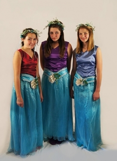 The Little Mermaid - Costume Rental Mersisters King Triton Merfolk