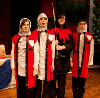 Alice in Wonderland - Knight Costumes