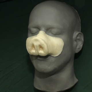 a foam latex pig nose on a human face cast