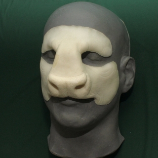 A foam latex bison nose prosthetic placed on a platic human face cast.