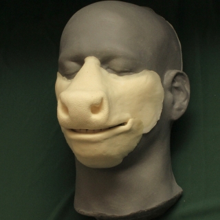 A foam latex cow muzzle prosthetic placed on a platic human face cast.