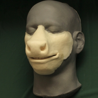 Small Cow / Bull Muzzle foam latex prosthetic A foam latex cow muzzle prosthetic placed on a platic human face cast.