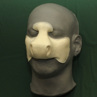 A foam latex donkey nose prosthetic placed on a platic human face cast.
