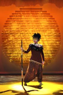 The Lion King Costumes