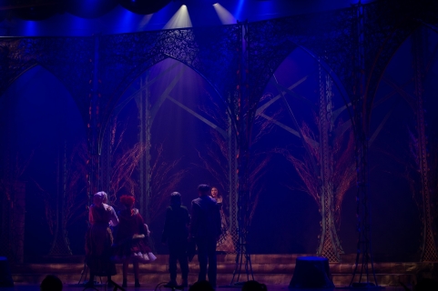Into the Woods Broadway set rental package -  the forest  --- Stagecraft Theatrical Rental 800-499-1504