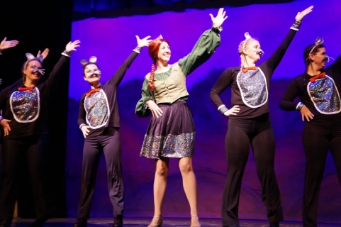 VACT's Shrek the Musical