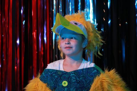 Alice in Wonderland Jr. Rentals