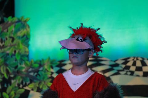 Alice in Wonderland Jr. Rentals