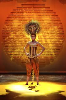The Lion King Costumes