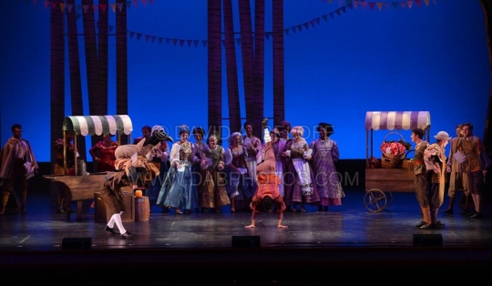 Cinderella village with forest - set rental - Front Row Theatrical - 800-250-3114