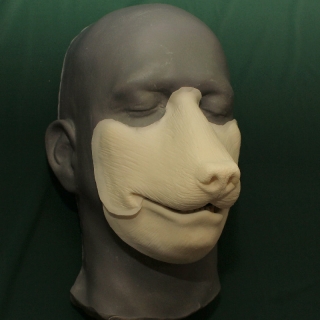 A foam latex wolf muzzle prosthetic placed on a platic human face cast.
