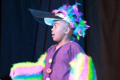 Alice in Wonderland Jr. Rentals