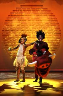 The Lion King Costumes