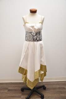 silver and gold plate costume