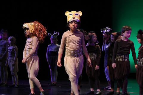 Lion King Kids Costumes and Headpieces