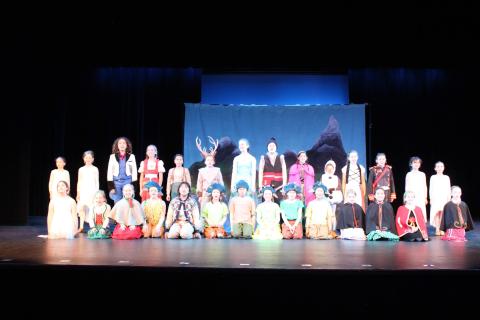 Frozen Costumes & Props