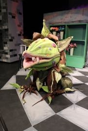 Audrey 2 Puppet Rental StageWorthy Arts Audrey 2 Puppet
