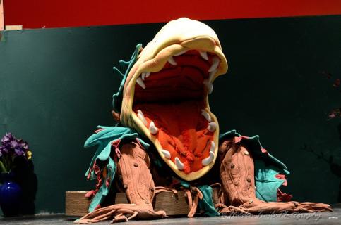 Audrey II stage three