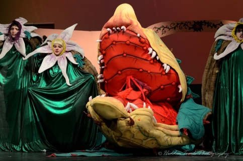 Audrey II stage 3 Intermission Productions, Inc.