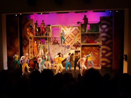 SELLING Bye Bye Birdie- FULL SHOW