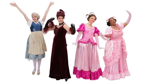 Rental Costumes for Cinderella Broadway Revival - Ella & Step Family