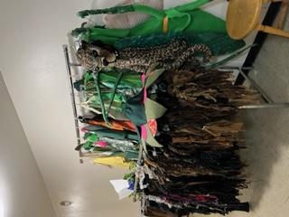 TARZAN costumes