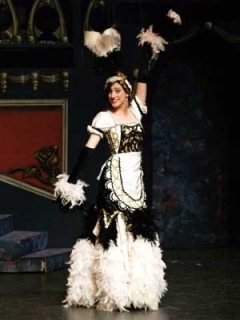 Beauty & the Beast - Babette Enchanted Feather Duster Costume