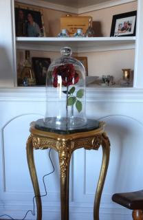 Spectacular Beauty And The Beast enchanted rose, mirror,  props and costumes