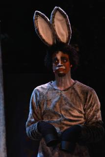 Shrek Props/Costumes