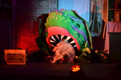 Astonishing Theatre Company - Grass Valley, CA Astonishing Theatre Company - Grass Valley, CA