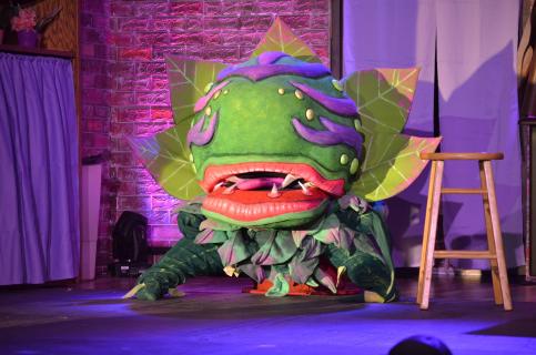 Astonishing Theatre Company - Grass Valley, CA