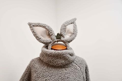 Shrek and Shrek Jr. Costumes