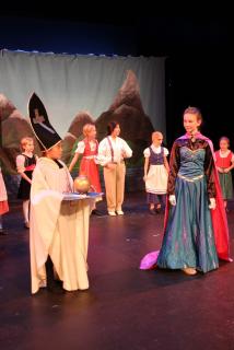 Frozen Costumes & Props